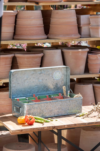  || https://assets.gardeners.com/transform/724c9973-262f-4748-a7ed-a931d303e3a6/8610573_150-tif