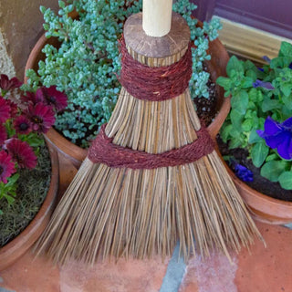 || https://assets.gardeners.com/transform/23d7a426-c39c-4edf-8d95-843361501db4/8610601_BN_04V-jpg