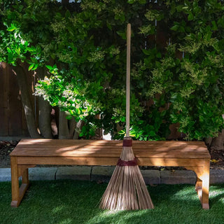  || https://assets.gardeners.com/transform/b3555e58-786a-406e-b50f-723e6a20dd58/-8610601_BN_14V-jpg