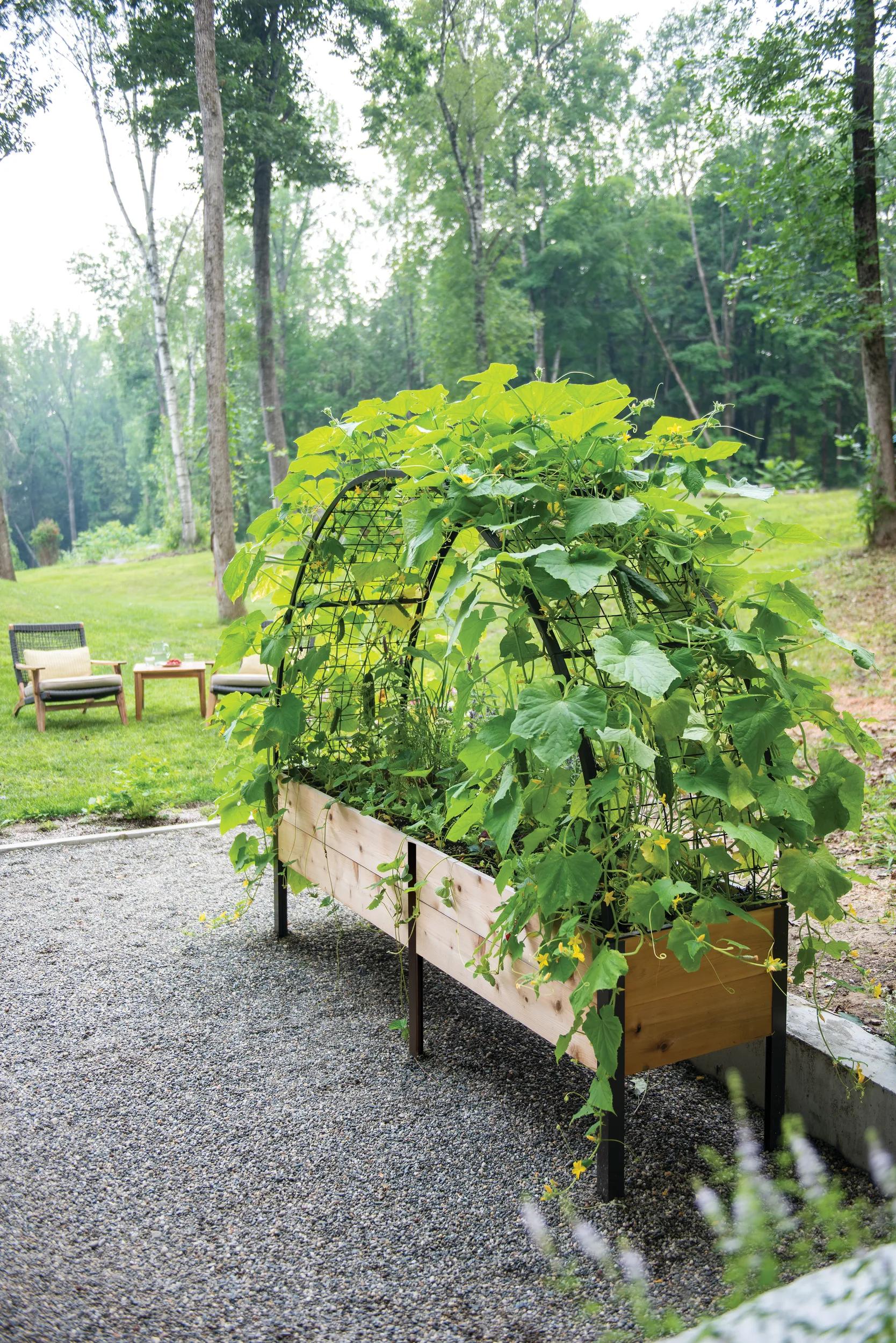 self-watering eco-stained elevated 2'x8' planter box Planter Boxes: Elevated Cedar Planter Box