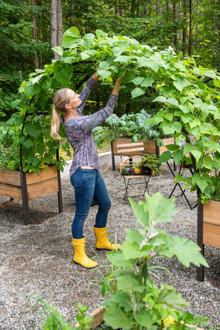  || https://assets.gardeners.com/transform/64a5d8a3-02f1-45be-a0fb-daefde5d0a5c/8610798_050-tif