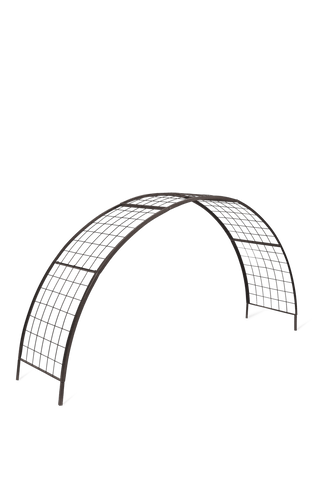  || https://assets.gardeners.com/transform/6c695068-f8cb-4d94-8ff4-99c6029e6f07/8610798_0808-tif