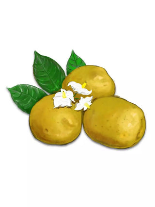  || https://assets.gardeners.com/transform/dbc46a71-2e3c-4941-a278-5d5b20184e42/8610852_01V_3-4