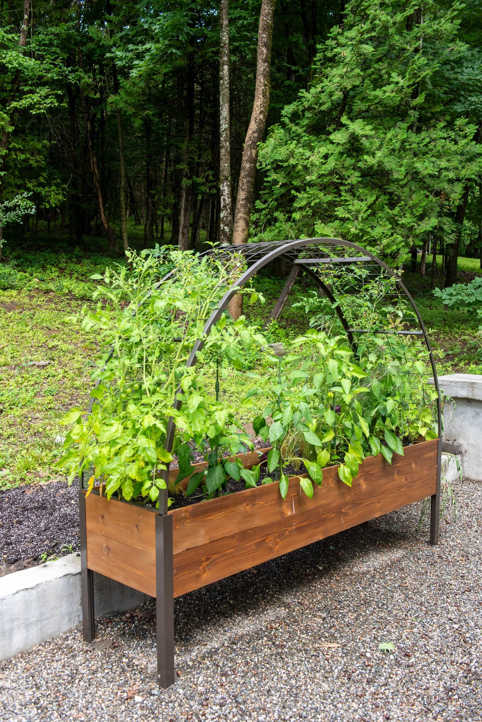 wood stain for trellis Gardener's Exterior Wood Stain, 1 Quart