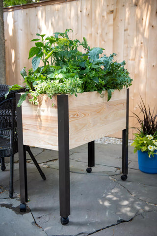  || https://assets.gardeners.com/transform/4f50af8a-7d91-4462-a6aa-76541f6b8381/8610890_030-tif