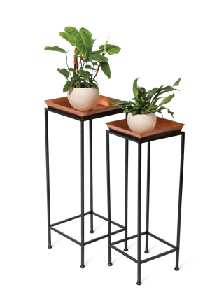  || https://assets.gardeners.com/transform/5fb243f7-8ec4-4be5-98f2-dc70de637c86/8611014_2872-tif