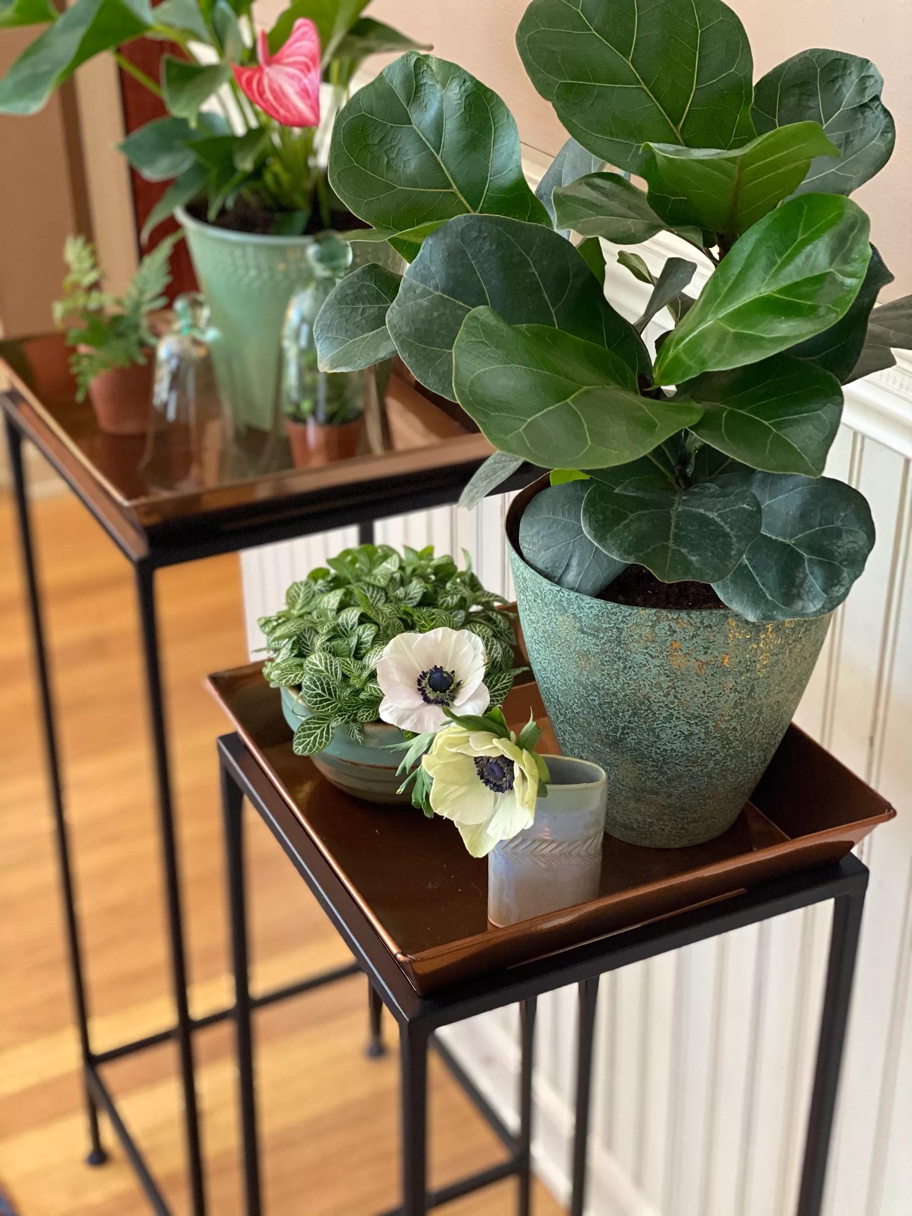 square plant stand indoor Square Nesting Plant Stands with Copper Trays