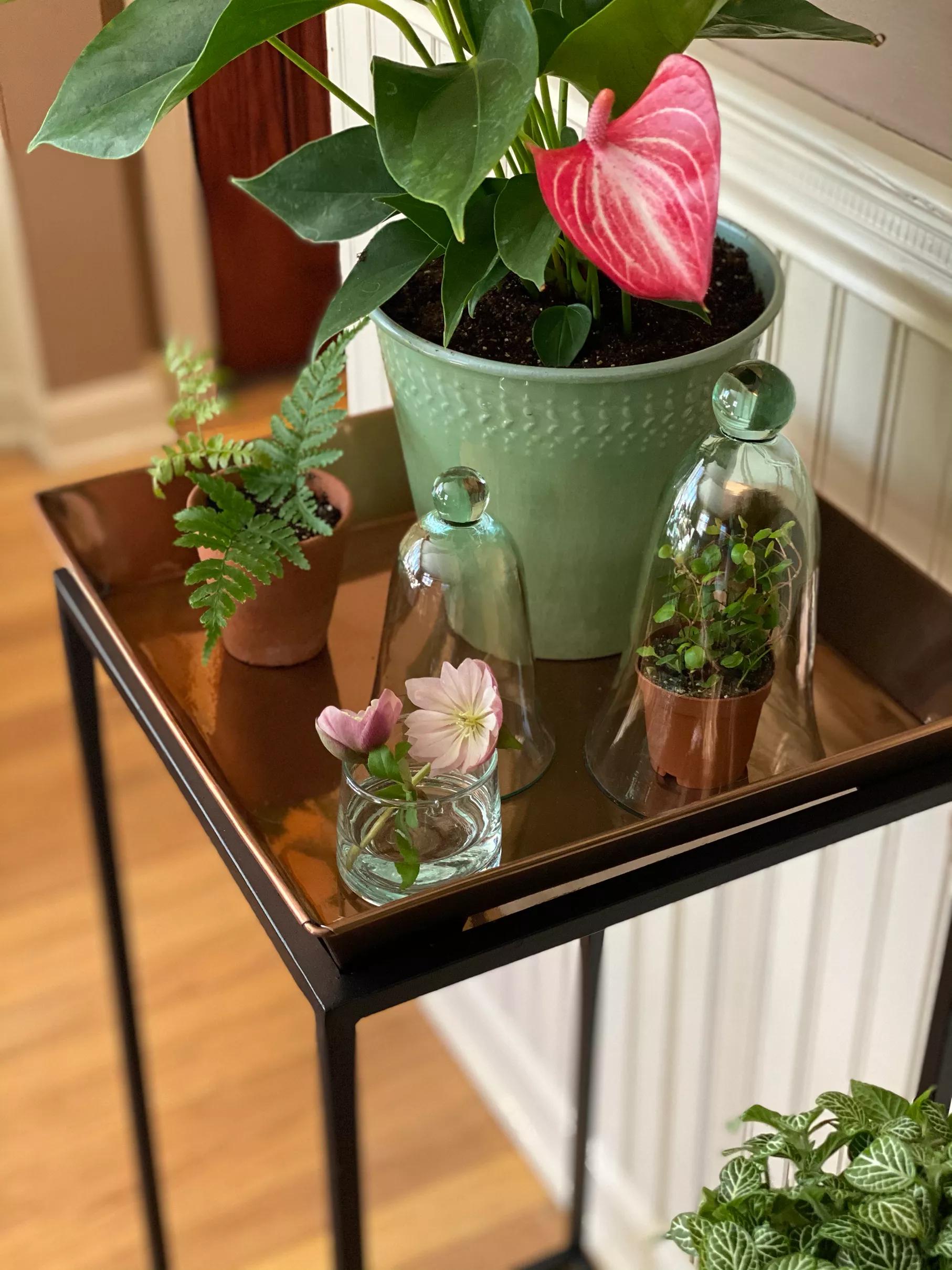 square plant stand indoor Square Nesting Plant Stands with Trays, Set of 2