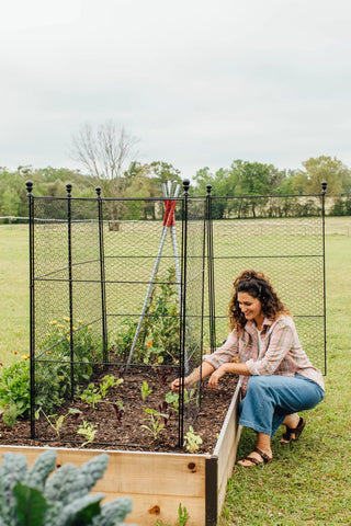  || https://assets.gardeners.com/transform/c3749c98-52d4-4e53-bdf0-00c505237ce7/8611020_291-tif