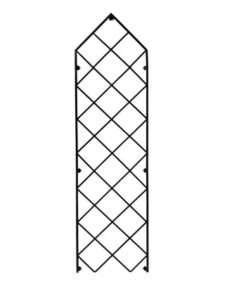  || https://assets.gardeners.com/transform/eeabce11-a436-49f2-baff-e1c379ce2b43/8611130_1000
