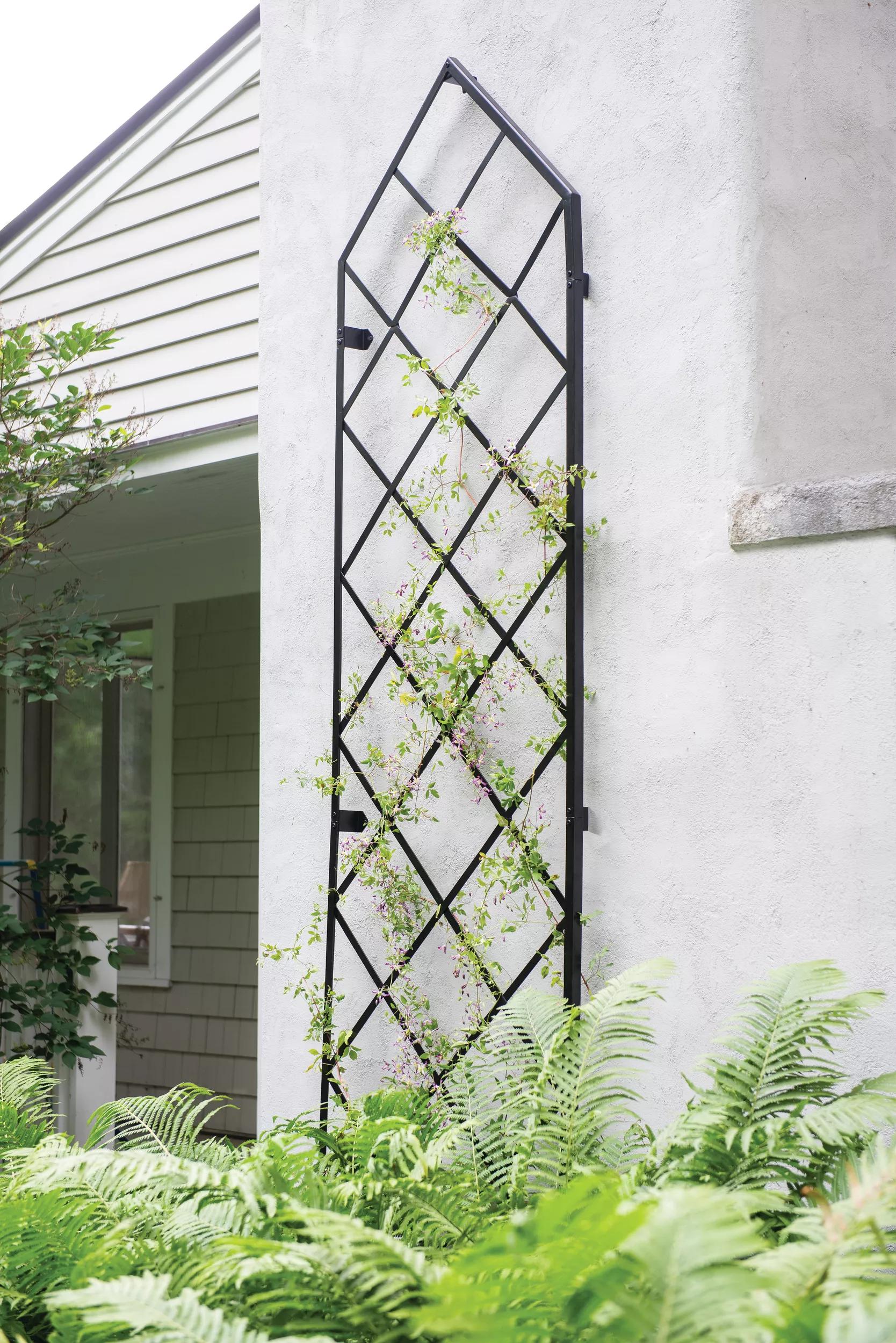 plant wall trellis Lattice Gable Wall Trellis