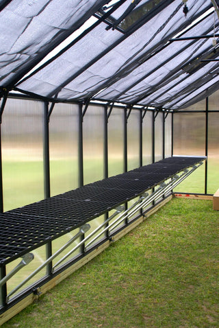  || https://assets.gardeners.com/transform/b077b63d-b80d-430e-b260-54f653db93c8/8611204_01V-jpg