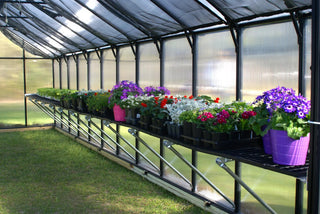  || https://assets.gardeners.com/transform/8def18ef-7e93-4e3a-ab9e-755f244a4a1d/8611204_04V-jpg
