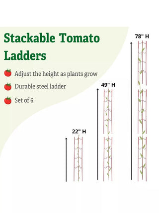  || https://assets.gardeners.com/transform/5878a08a-752f-4946-948c-e2ef8e780763/8611245_1