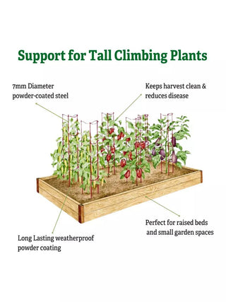  || https://assets.gardeners.com/transform/61b5b333-32c2-4036-82a2-bda33c51b369/8611245_3