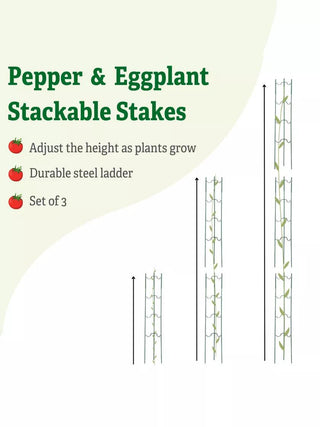  || https://assets.gardeners.com/transform/9a5323bf-277c-486b-a71e-7736ce76be8e/8611246_2