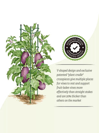  || https://assets.gardeners.com/transform/59d67f8b-34a9-4f08-b219-f3a40a86f93a/8611246_3