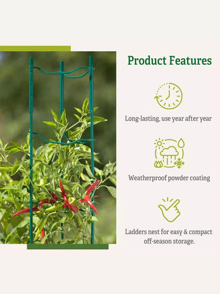  || https://assets.gardeners.com/transform/f88fd0d6-e76b-4423-8047-47cd64bc0372/8611246_7