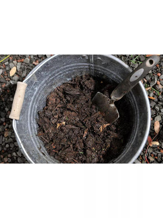  || https://assets.gardeners.com/transform/9db02cfb-b00e-4b65-9e79-da23a792cbd8/8611344_13V
