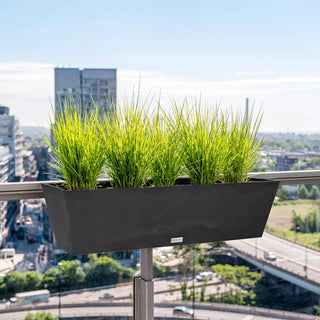  || https://assets.gardeners.com/transform/2e755b2b-df5d-4074-9cef-df74363a38cf/8611551_04V-jpg