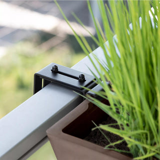  || https://assets.gardeners.com/transform/20473a8e-4392-4acd-a5fa-2cfd0b36e69c/8611551_11V-jpg