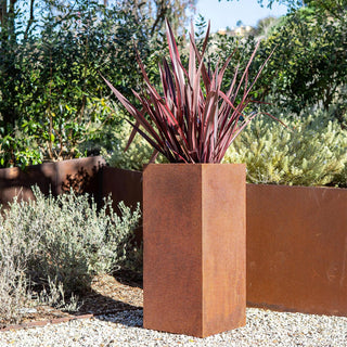  || https://assets.gardeners.com/transform/922adc48-7869-4920-860b-c270a6e9e144/8611585_01V-jpg