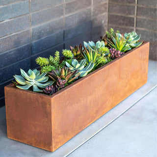  || https://assets.gardeners.com/transform/d1bbaaa9-525a-4896-8356-6f6d1437bcdb/8611609_02V-tif