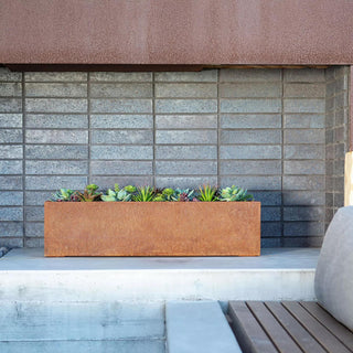  || https://assets.gardeners.com/transform/f74aaecb-d2b3-4d05-8710-0bda88785be2/8611609_03V-tif