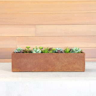  || https://assets.gardeners.com/transform/5a10290e-bef6-44d0-ad78-eb37734cabaa/8611609_04V-tif