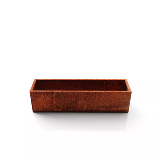  || https://assets.gardeners.com/transform/79128279-d275-4deb-8aa7-d538d308ee52/8611609_06V-tif
