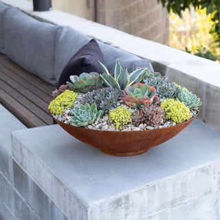  || https://assets.gardeners.com/transform/4e941b2e-dc5e-4331-8b5a-7352a9c49357/8611615_02V_veradek-corten-steel-round-bowl-planter-tif