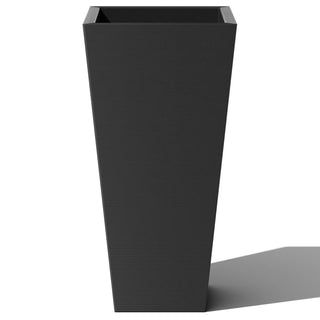  || https://assets.gardeners.com/transform/a4206124-c8ce-43b2-93a0-a77d09731648/8611619_06V-tif