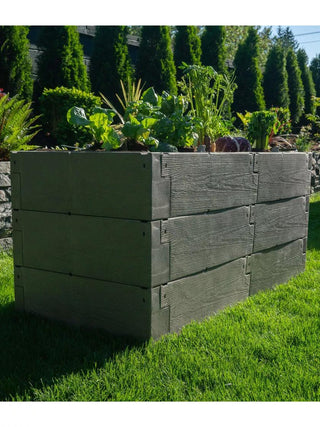  || https://assets.gardeners.com/transform/d23cddff-b28c-4304-a495-d6cac329ed46/8611650_06V