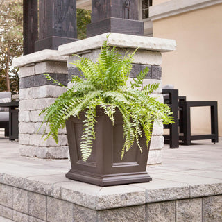  || https://assets.gardeners.com/transform/9398b165-21f8-40b6-bc44-3641aa9666e5/8611695_02V-tif