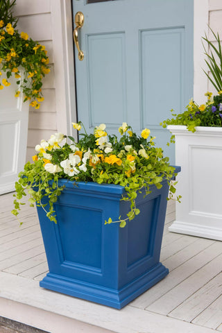  || https://assets.gardeners.com/transform/9a266e31-722b-4ebf-9fe8-ab0c4d388d1a/8611695_045-tif