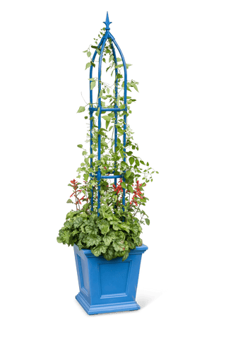  || https://assets.gardeners.com/transform/14b29263-912a-49a1-bbe6-bbd9698a455d/8611695_0614-tif