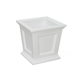  || https://assets.gardeners.com/transform/aa914361-8ec0-4456-a740-7d3d4230ed50/8611695_17V-tif