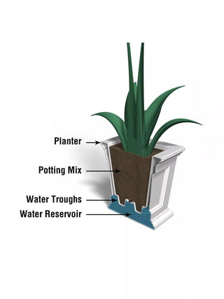  || https://assets.gardeners.com/transform/b892b11f-d1bb-4d1f-83c3-8307c4d89233/8611695_18V
