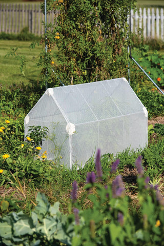  || https://assets.gardeners.com/transform/9ef74511-b158-4bbd-b22e-8a4dedf86cae/8611698_007-tif