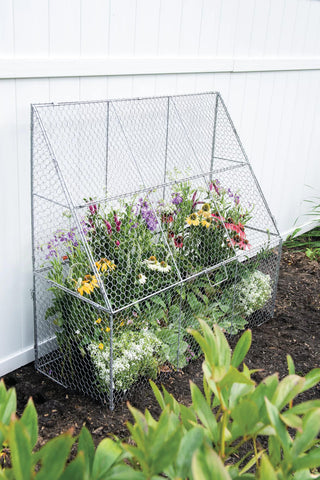  || https://assets.gardeners.com/transform/0836e36e-f230-47fb-873b-62da5673251a/8611701_142-tif