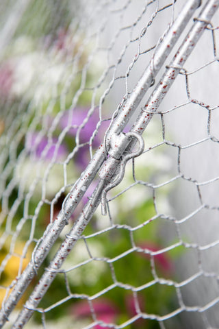  || https://assets.gardeners.com/transform/a57cc8b8-7478-4f36-9dee-1973605c2bf5/8611701_167-tif