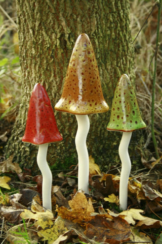  || https://assets.gardeners.com/transform/edd82066-c1dd-4608-95de-42eb59750985/8611730_AU_01V-JPG