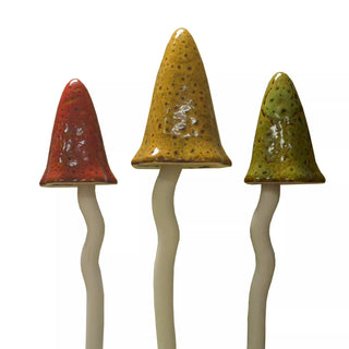  || https://assets.gardeners.com/transform/a8cee6cb-6c13-4054-9ef8-b284434c63b0/8611730_AU_02V-jpg