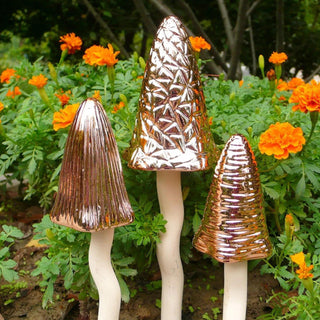  || https://assets.gardeners.com/transform/b3e6a946-5167-4877-83c4-5d575008700a/8611732_01V-jpg