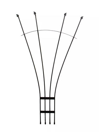  || https://assets.gardeners.com/transform/e7500938-1b98-44d8-8608-ce26136c135e/8611788_01V_achla-fan-trellis