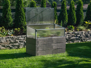  || https://assets.gardeners.com/transform/347fdc6d-432d-4b0b-9bfb-ff51f7794c37/8611850_01V-jpeg
