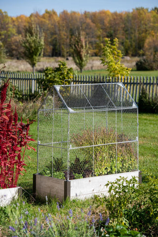  || https://assets.gardeners.com/transform/13369ee3-fd51-4be1-a098-d482d702bd9d/8611940_4008
