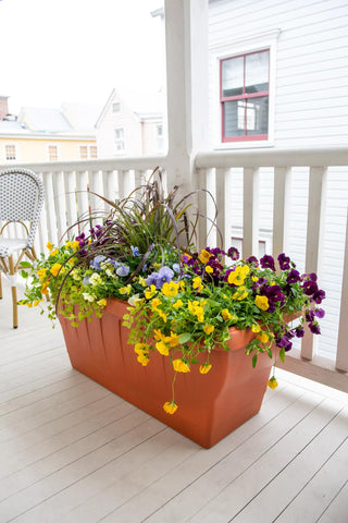  || https://assets.gardeners.com/transform/a4944b26-0d3a-4d50-b46a-4563c77e8185/8611942_081-tif