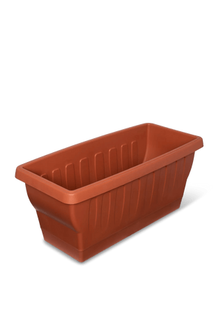  || https://assets.gardeners.com/transform/20e5ef45-47ed-45b4-ba73-922bcc352f31/8611942_5946-tif