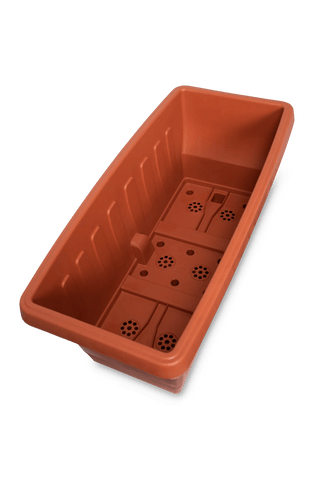  || https://assets.gardeners.com/transform/5a50c30b-8b17-43d5-a3a5-eaf06734e01f/8611942_5948-tif